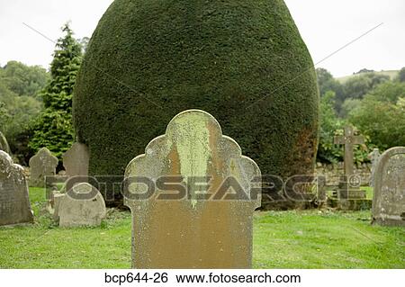 Stock Photograph - Finely trimmed hedges in graveyard, Gloucestershire, United Kingdom. Fotosearch