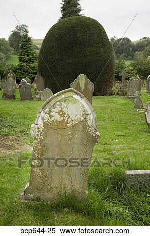Stock Photography - Finely trimmed hedges in graveyard, Gloucestershire, United Kingdom. Fotosearch