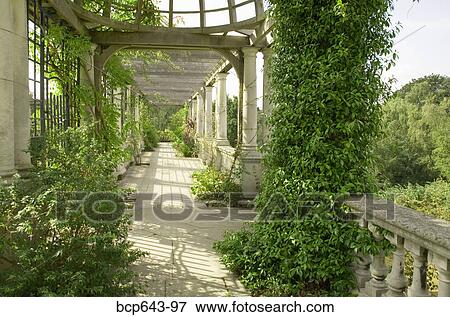 Walkway and vines in London, United Kingdom View Large Photo Image Stock Photo - Walkway and vines in London, United Kingdom. Fotosearch