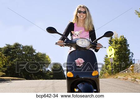 Picture - Woman carrying her dog in a backpack on a scooter. Fotosearch
