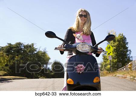 Stock Image - Woman carrying her dog in a backpack on a scooter. Fotosearch