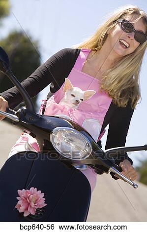 Stock Photograph - Woman carrying her small dog on a scooter. Fotosearch