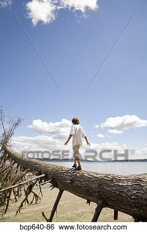 Stock Photograph - Young boy balancing on fallen tree. Fotosearch