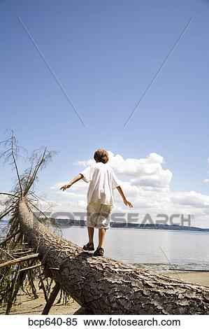 Young boy balancing on fallen tree View Large Photo Image Stock Photography - Young boy balancing on fallen tree. Fotosearch