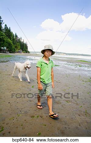 Picture - Young girl walking her dog on the beach. Fotosearch