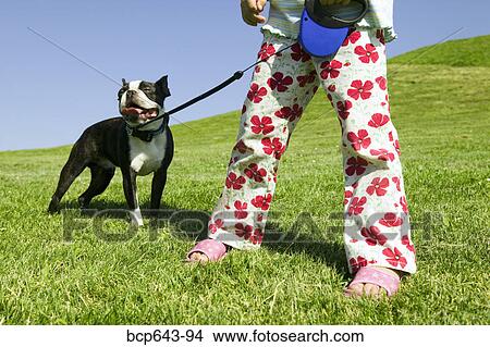 Young girl walking her dog View Large Photo Image Picture - Young girl walking her dog. Fotosearch
