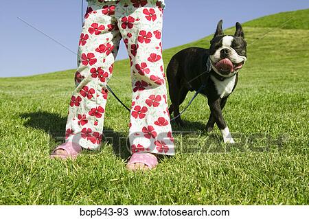 Young girl walking her dog View Large Photo Image Stock Image - Young girl walking her dog. Fotosearch
