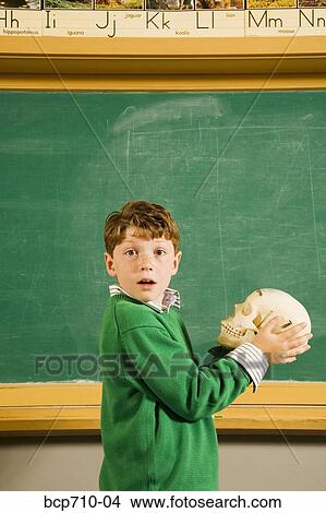 Boy holding skull in classroom View Large Photo Image Picture - Boy holding skull in classroom. Fotosearch