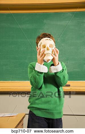 Boy holding skull over face in classroom View Large Photo Image Stock Photo - Boy holding skull over face in classroom. Fotosearch