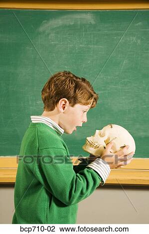Boy looking at skull in classroom View Large Photo Image Stock Image - Boy looking at skull in classroom. Fotosearch