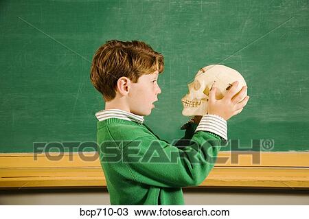 Boy looking at skull in classroom View Large Photo Image Stock Image - Boy looking at skull in classroom. Fotosearch