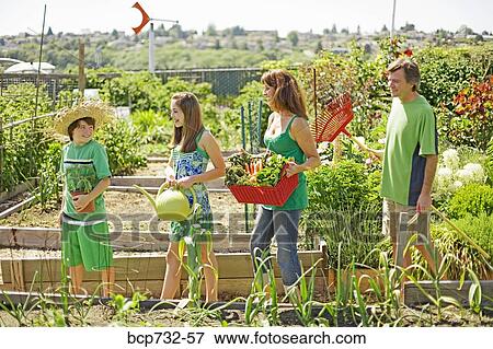 Family in vegetable garden View Large Photo Image Stock Photo - Family in vegetable garden. Fotosearch