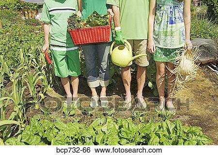 Family in vegetable garden View Large Photo Image Stock Photograph - Family in vegetable garden. Fotosearch