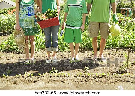 Family in vegetable garden View Large Photo Image Stock Photography - Family in vegetable garden. Fotosearch