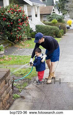 Father and son watering plants View Large Photo Image Stock Photograph - Father and son watering plants. Fotosearch