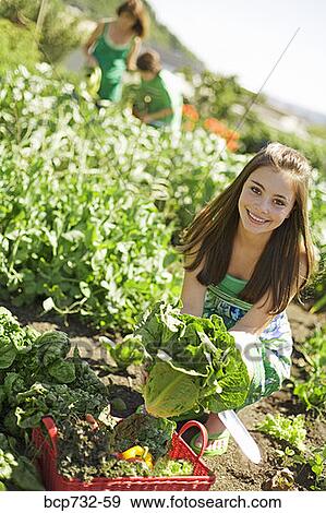 Stock Photo - Girl holding vegetables in garden. Fotosearch