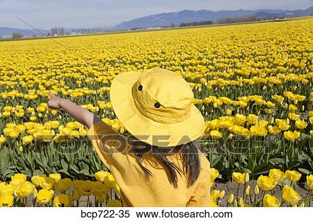 Girl pointing in a field of yellow flowers View Large Photo Image Stock Photography - Girl pointing in a field of yellow flowers. Fotosearch