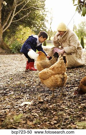 Stock Image - Mother and son feeding chickens. Fotosearch