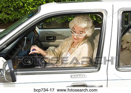 Senior woman and dog in car View Large Photo Image Stock Photo - Senior woman and dog in car. Fotosearch