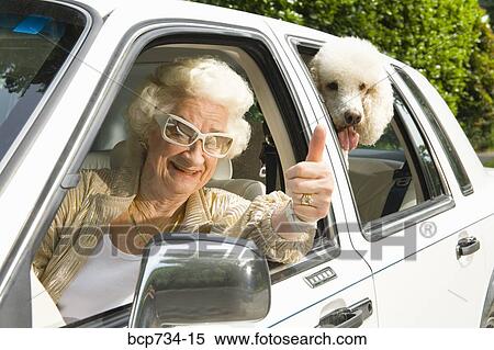 Stock Photography - Senior woman and dog in car. Fotosearch
