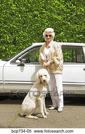 Senior woman and dog next to car View Large Photo Image Stock Photography - Senior woman and dog next to car. Fotosearch