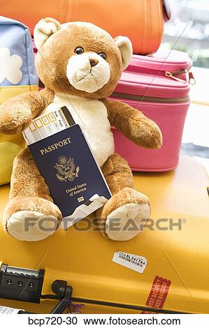 Teddy bear holding a passport View Large Photo Image Stock Image - Teddy bear holding a passport. Fotosearch