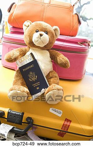 Teddy bear holding passport View Large Photo Image Stock Photo - Teddy bear holding passport. Fotosearch