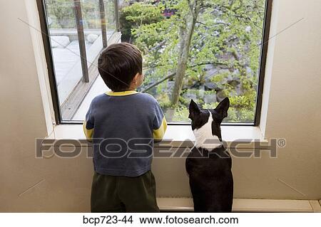 Young boy and dog looking out the window View Large Photo Image Picture - Young boy and dog looking out the window. Fotosearch