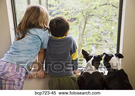 Young children and dogs looking out the window View Large Photo Image Stock Photography - Young children and dogs looking out the window. Fotosearch