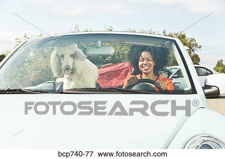 African woman and dog in convertible car View Large Photo Image Stock Photo - African woman and dog in convertible car. Fotosearch