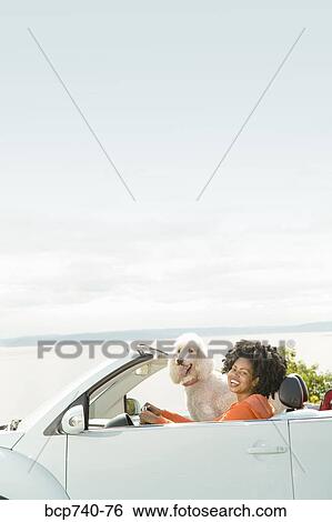 African woman and dog in convertible car View Large Photo Image Stock Photograph - African woman and dog in convertible car. Fotosearch
