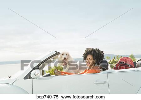 Stock Photography - African woman and dog in convertible car. Fotosearch