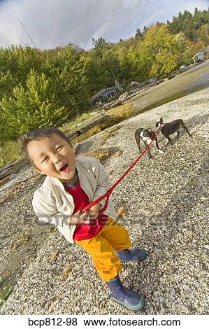 Stock Photo - Asian boy holding dogs on leash. Fotosearch