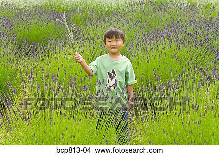 Asian boy holding plant in meadow View Large Photo Image Picture - Asian boy holding plant in meadow. Fotosearch