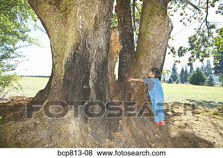 Asian boy hugging tree View Large Photo Image Stock Photo - Asian boy hugging tree. Fotosearch