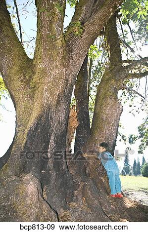 Asian boy hugging tree View Large Photo Image Stock Photo - Asian boy hugging tree. Fotosearch