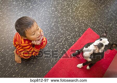 Asian boy looking at dog View Large Photo Image Stock Photo - Asian boy looking at dog. Fotosearch
