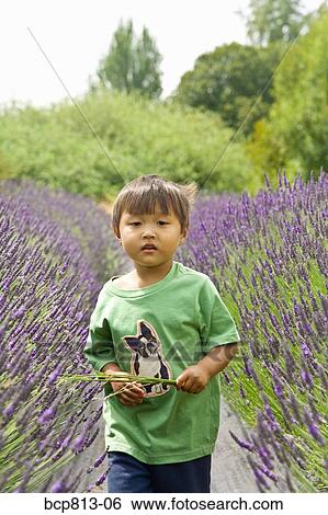 Asian boy walking through flowers View Large Photo Image Stock Photograph - Asian boy walking through flowers. Fotosearch