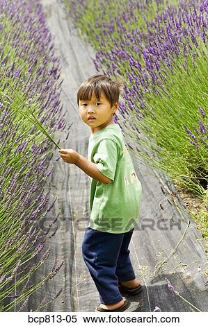 Asian boy walking through flowers View Large Photo Image Stock Photography - Asian boy walking through flowers. Fotosearch