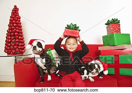 Asian boy with dogs and Christmas gifts on sofa View Large Photo Image Stock Image - Asian boy with dogs and Christmas gifts on sofa. Fotosearch