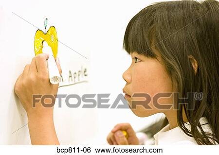 Stock Photograph - Asian girl drawing on whiteboard. Fotosearch