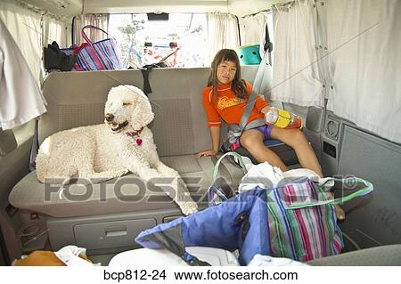 Asian girl sitting in car with dog View Large Photo Image Picture - Asian girl sitting in car with dog. Fotosearch