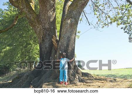 Child hugging tree View Large Photo Image Stock Photograph - Child hugging tree. Fotosearch
