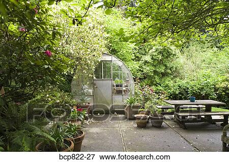 Greenhouse In Tranquil Backyard Garden Stock Photo Bcp822 27