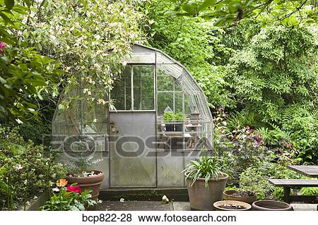 Greenhouse In Tranquil Backyard Garden Stock Photo Bcp822 28