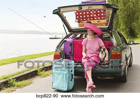 Woman and Boston Terrier dog posing with car loaded with colorful suitcases View Large Photo Image Stock Image - Woman and Boston Terrier dog posing with car loaded with colorful suitcases. Fotosearch
