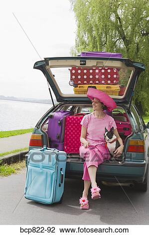 Woman and Boston Terrier dog posing with car loaded with colorful suitcases View Large Photo Image Stock Image - Woman and Boston Terrier dog posing with car loaded with colorful suitcases. Fotosearch