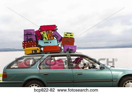 Woman and dog driving car stacked with colorful suitcases View Large Photo Image Stock Image - Woman and dog driving car stacked with colorful suitcases. Fotosearch