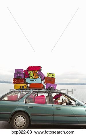 Woman and dog driving car stacked with colorful suitcases View Large Photo Image Stock Image - Woman and dog driving car stacked with colorful suitcases. Fotosearch