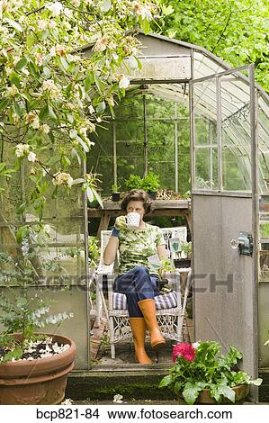 Woman drinking coffee in backyard greenhouse View Large Photo Image Picture - Woman drinking coffee in backyard greenhouse. Fotosearch